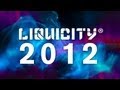 Liquicity Yearmix 2012 (Mixed by Maduk)