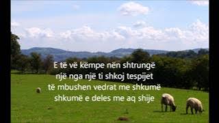 Jehona Labe - C'më ka marrë malli rëndë