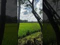 Beautiful Bangladesh