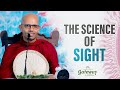 The Science of Sight