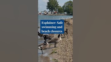 Michigan beach closures: How scientists test for safe swimming conditions