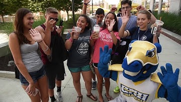 University of New Haven Move-In Day 2017