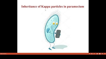 Maternal Inheritance and Maternal effect