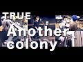 Another colony / TRUE [Band Cover]