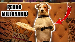 PANCHO EL PERRO MILLONARIO!!! RESUMEN en 9 MINUTOS