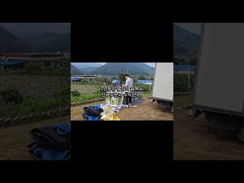 3번 망하고 혼자서 70억 쇼핑몰을 만드는 방법