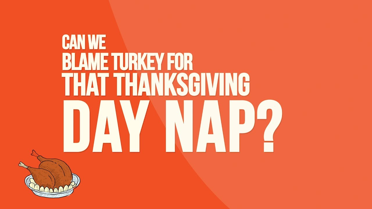 Can we blame turkey for that Thanksgiving Day nap? - YouTube