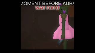 Moment before aura#Melon Sandbox
