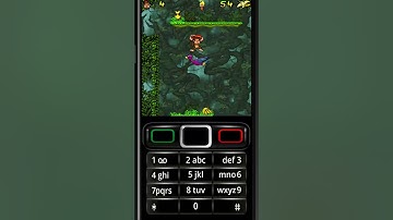 Funky Monkey Java Game Stage 7