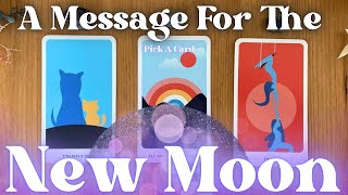 You NEED To Hear This!🌙💡🎉 Pick A Card *Timeless* | Customized By Spirit