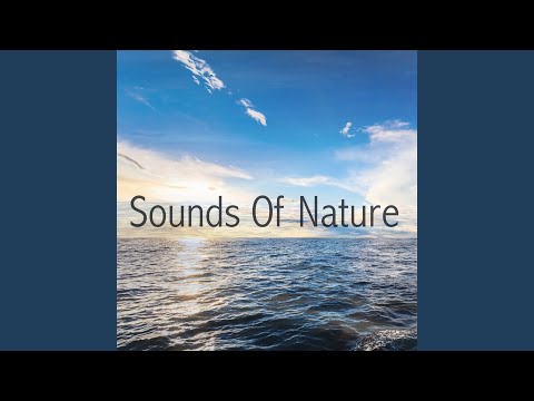 Video: Ufologen Tror Att Konstiga Ljud I Stilla Havet Kommer Från Utlänningens Bas - Alternativ Vy