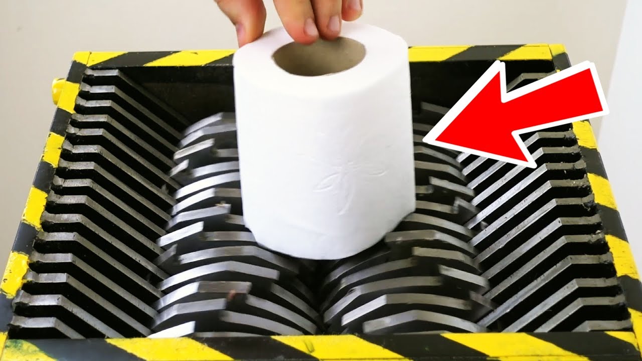 LOOK WHAT HAPPENS WHEN YOU SHRED TOILET PAPER ! YouTube