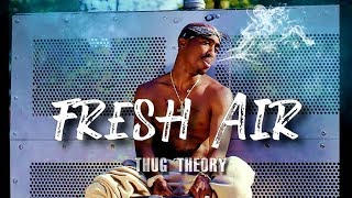 2Pac - Fresh Air | 90S Old School Smooth Boom Bap Soul Type Beat X Chill Instrumental