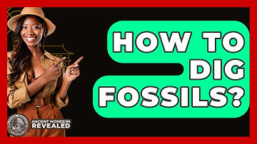 How To Dig Fossils? - Ancient Wonders Revealed