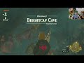 Tears of the kingdom Zelda: part 5