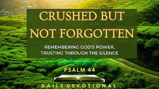 Crushed but Not Forgotten| Remembering God’s Power, Trusting Through the Silence| Psalm 44