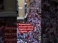 Знаменитый фестиваль Сан-Фермин начался в испанской Памплоне, он известен забегами с быками