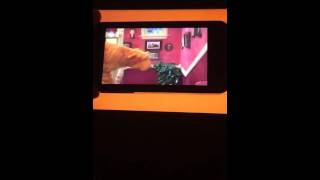 Bear In The Big Blue House