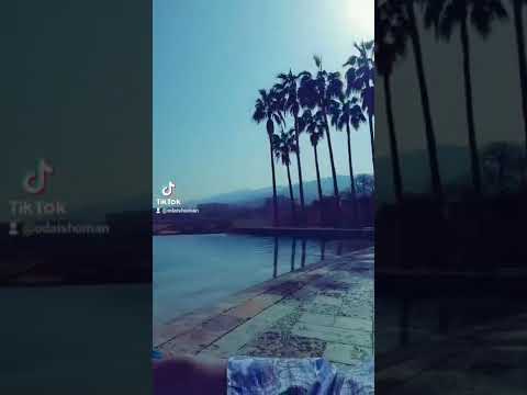 لحالك يجعل عمري فدالك