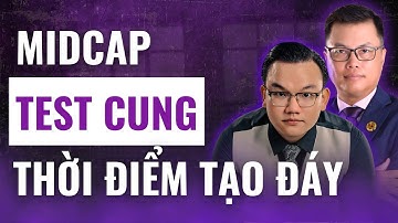 Cổ Phiếu Midcap Test Cung Rũ Bỏ: Thời Điểm Tạo Đáy. Xem Ngay!