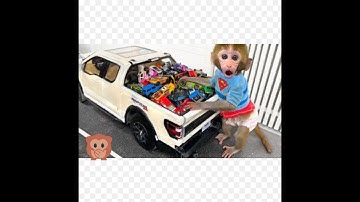 Monkey Baby Bon Bon drives a car and plays with puppy and duckling by the track