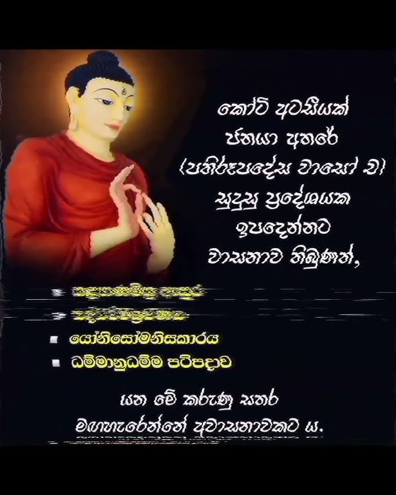 🌸🙏🙏🙏#saddarmadeshana #gimhan1779 #flutesongs #meditation #flutemusic #viralvideo #tending #motivatio