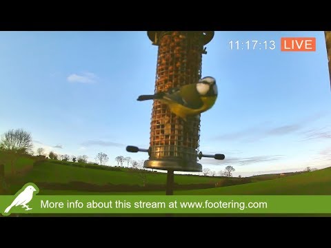 🔴Nature Camera Live