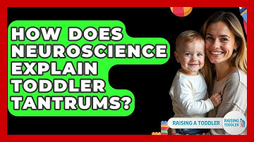How Does Neuroscience Explain Toddler Tantrums? - Raising A Toddler