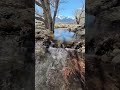Land of Flowing Water... Eastern Sierra creeks flow with winter snowmelt into the Owens Valley