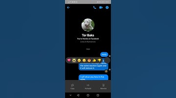 HOW TO REMOVE A MESSAGE REACTION ON FACEBOOK MESSENGER - 2020