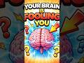 Your Brain is Fooling You 😮🧠