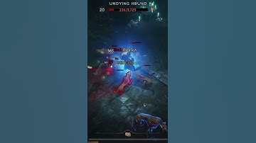 Notdasoda #notdasoda #shorts #gaming How Undying Hound Could Change The Meta Forever