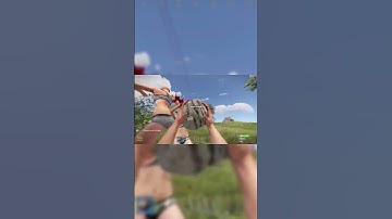 POV You Ally then Kill them with a Rock in Rust