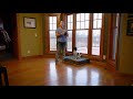 Clicker Training Part 3: Teaching Your Puppy To Kennel - Upland Bird Dog Training Clicker Training Part 3: Teaching Your Puppy To Kennel - Upland Bird Dog Training