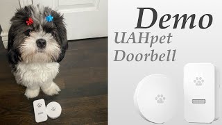 UAHPET Doorbell Demo | Smart Pet Technology| Pet Button Training | Multipurpose Pet Doorbell
