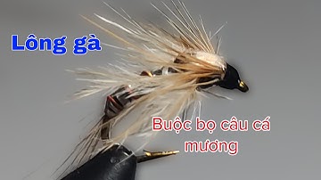 Nhặt lông gà buộc bọ câu cá suối.. 😀 😀 😀