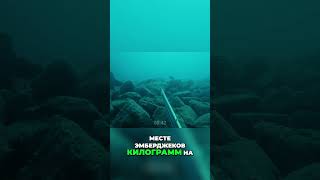 Охота на абады: Встреча с гигантами в глубине #shorts