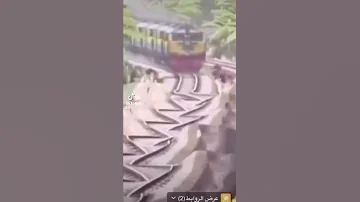 قطار برقص ديسكو ام سيف Shorts 