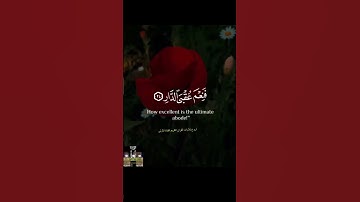 سلام عليكم بما صبرتم #القران #تلاوة_خاشعة #تلاوة_هادئة #قرآن