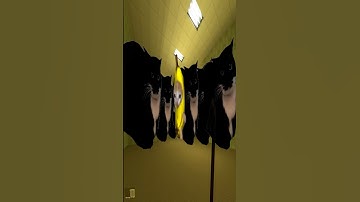 Maxwell Cat 🐱 🍌 - Nextbot Gmod¡¡¡ #gmod #garrys_mod #garrysmod