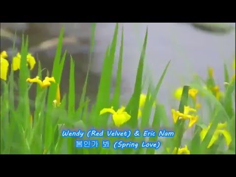 STATION Eric Nam X Wendy Red Velvet 봄인가 봐 Spring Love Hangul Romanized English Lyrics 