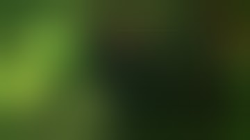 Myth of Empires | I Trolled The 