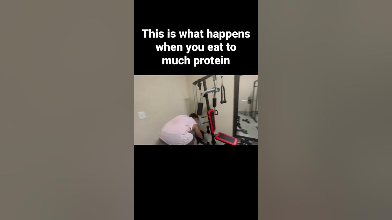when-you-eat-to-much-protein-gym-fitness-shorts-protein-youtube