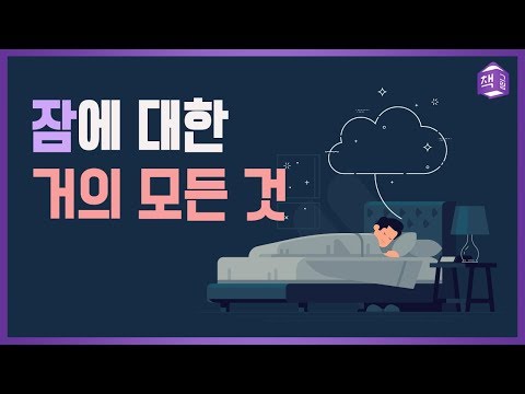 잠에 대한 거의 모든 것 | 수면의 5가지 단계