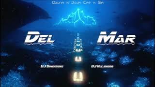Ozuna X Doja Cat X Sia - Del Mar (Dimen5ions & DJ Alejandro Bachata Remix)