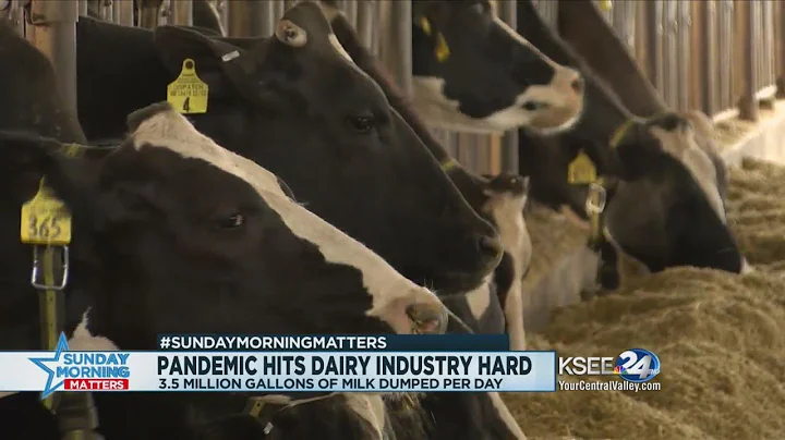 Former congressman Valadao: I don't want to play undocumented or not, we need to take care of all es