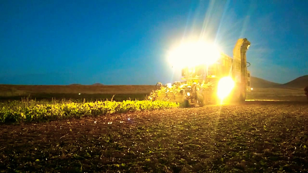 ROPA Euro-Tiger V8-6