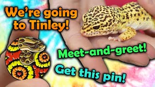We're going to the Tinley Park NARBC! (March 2024) by Snake Discovery 72,143 views 1 month ago 2 minutes, 35 seconds