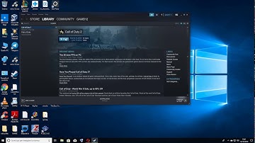 COD 2 Multiplayer steam fix/risolto su windows 10