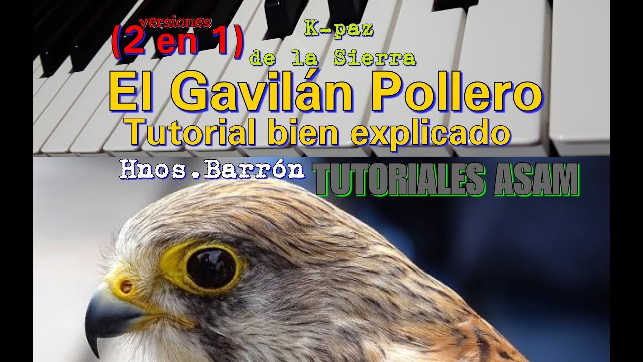 El Gavilán Pollero Tutorial bien explicado (2 versiones; incluye letra